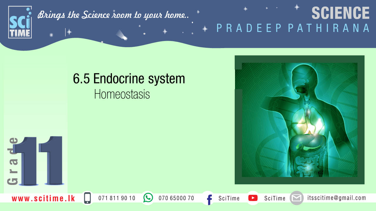 unit-6-lesson-vi-homeostasis-scitime-tution-hub