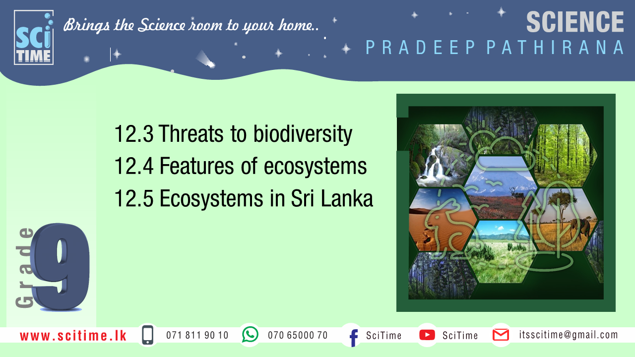 UNIT 12 - Lesson II - Ecosystems | SciTime Tution Hub