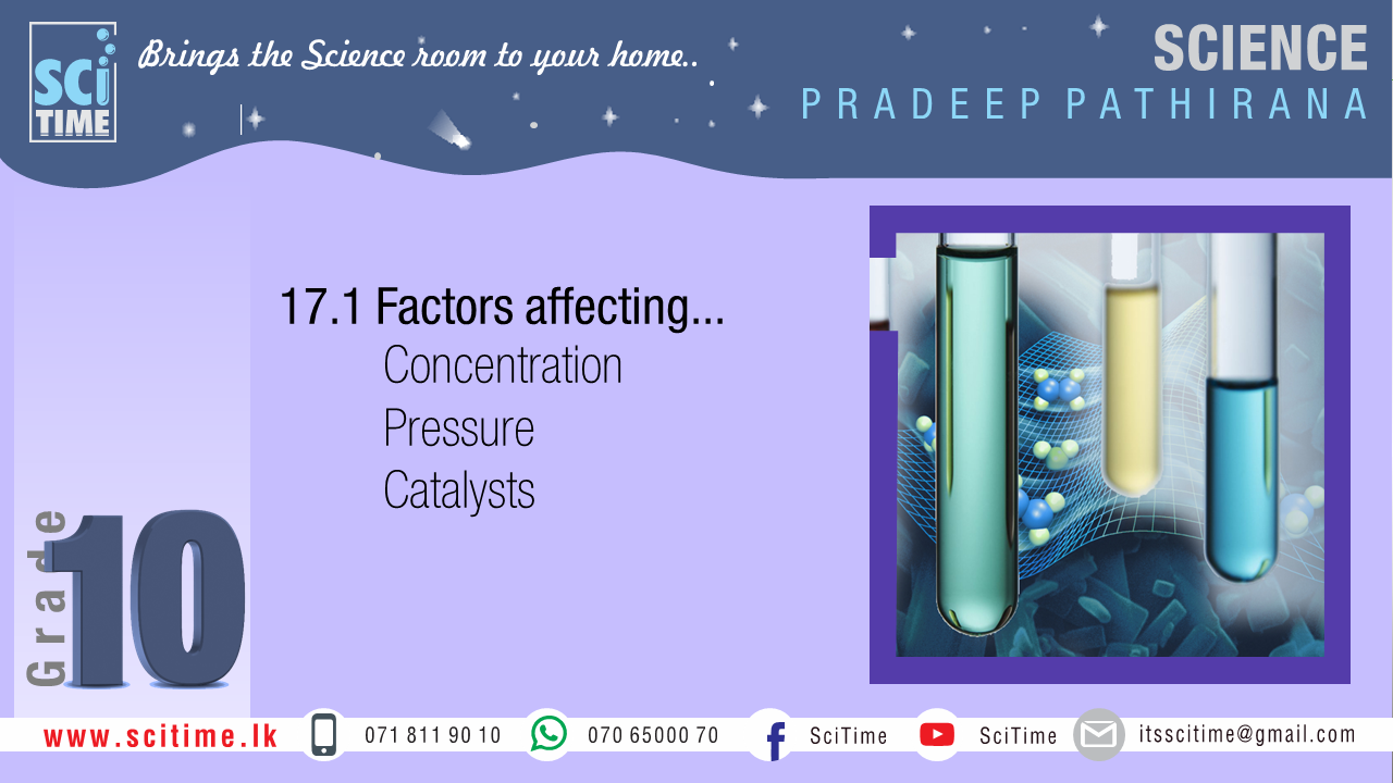 Unit 17 Lesson Ii Factors Affecting The Rate Scitime Tution Hub